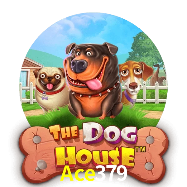 Ace379 — The Dog House slot | Play on Android APK & iPhone for real money | Pragmatic Play